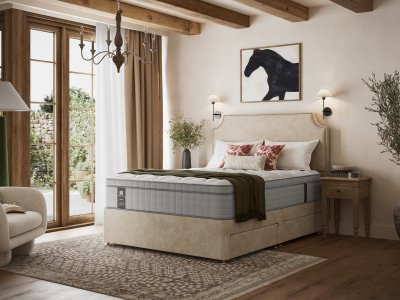 ELEVATE-EDISON-LUXURY-PLUSH-ROOMSET-ANGLE_2000x1500.jpg