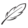 Pillow Filling : Feathers with no Quills